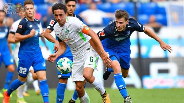 Soi kèo, nhận định Hoffenheim vs Werder Bremen 20h30 ngày 24/08/2019