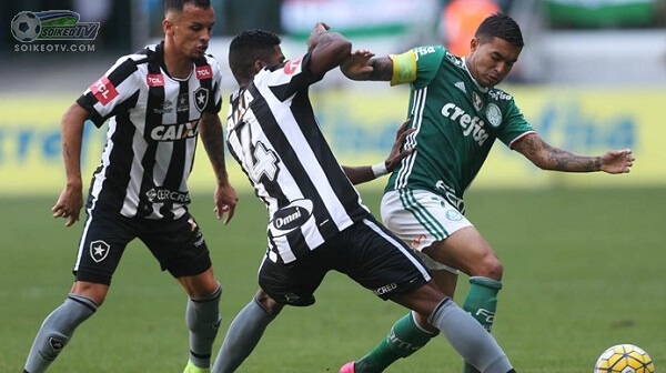 Soi kèo, nhận định Palmeiras vs Botafogo RJ 07h00 ngày 13/10/2019