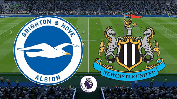 soi-keo-brighton-vs-newcastle