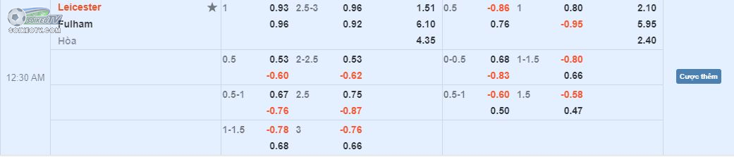 soi-keo-hiep-1-leicester-vs-fulham