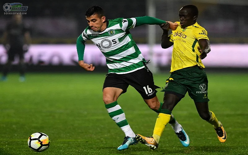 Soi kèo, nhận định Sporting Lisbon vs Pacos Perreira, 03h15 ngày 16/2/2021