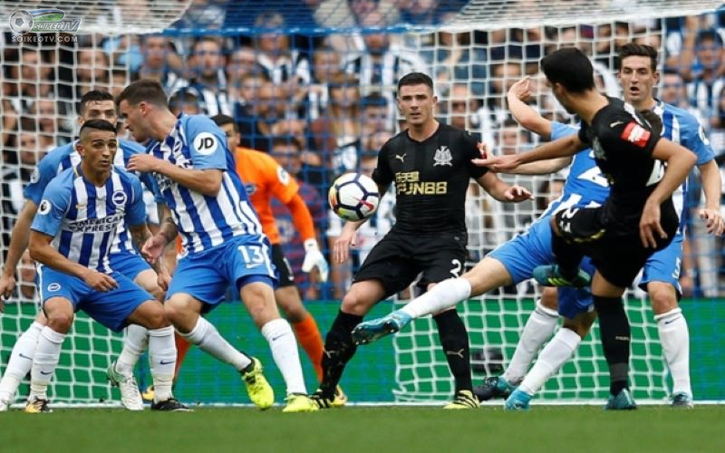 Soi kèo, nhận định Brighton vs Newcastle 03h00 ngày 21/3/2021