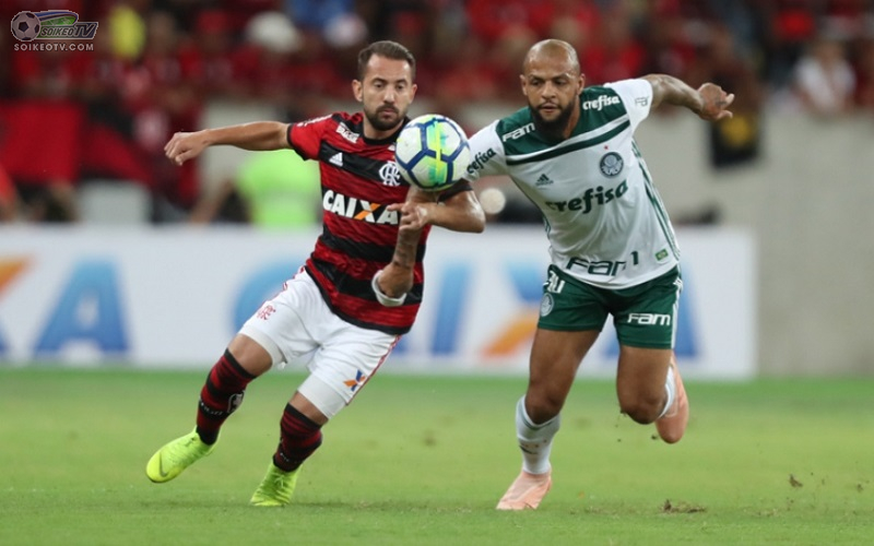 Soi kèo, nhận định Flamengo vs Palmeiras, 02h00 ngày 31/5/2021