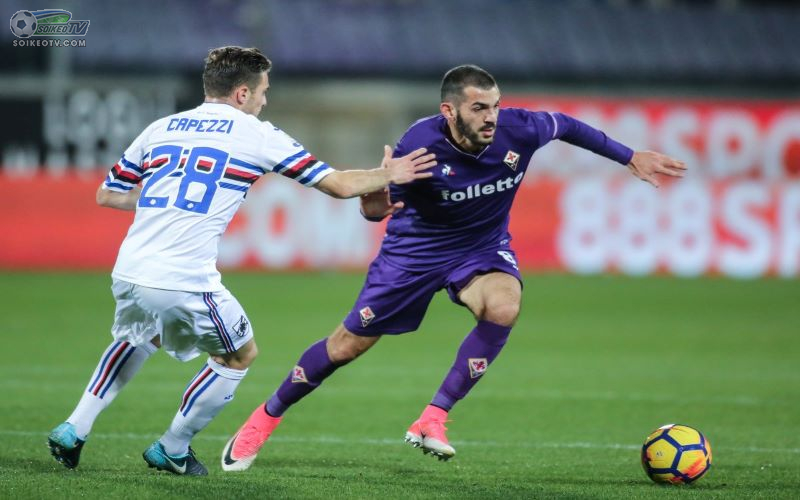 Soi kèo, nhận định Fiorentina vs Sampdoria	00h30 ngày 1/12/2021