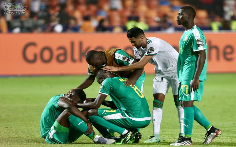 Soi kèo, nhận định Senegal vs Guinea Xích đạo 02h00 ngày 31/1/2022