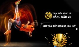 Socolive TV – Trang web xem trực tiếp bóng đá World Cup 2022