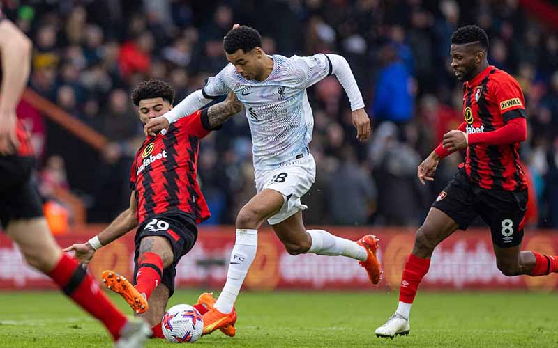 Soi kèo, nhận định Bournemouth vs Liverpool, 2h45 ngày 2/11/2023